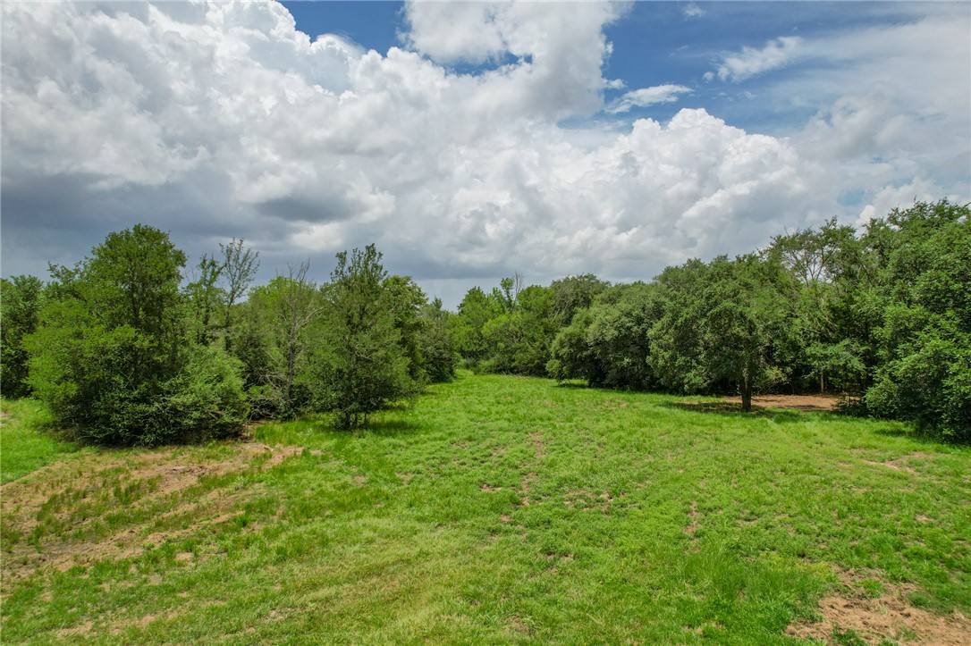 Tract #1-11.2ac) Tract Road College Station, TX 77845 - Photo 5 of 19 a view of outdoor space and yard