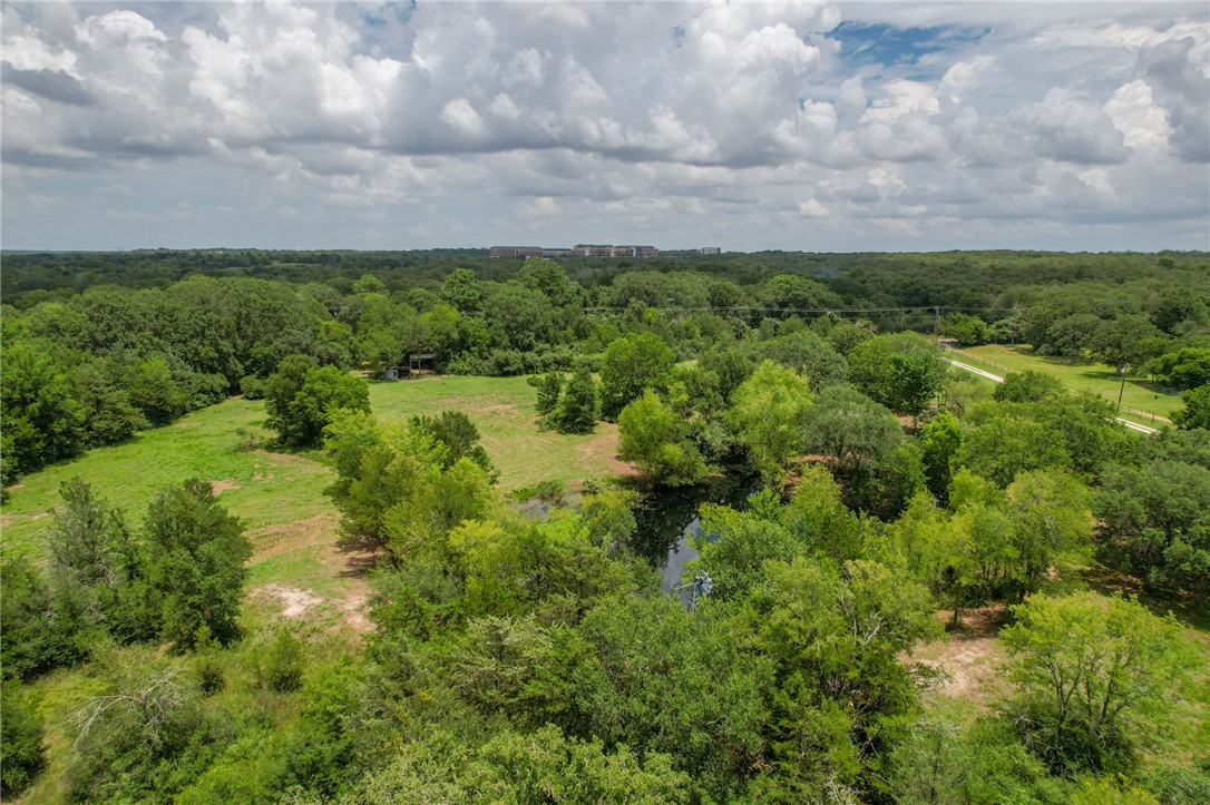 Tract #1-11.2ac) Tract Road College Station, TX 77845 - Photo 7 of 19 a view of a yard with a house