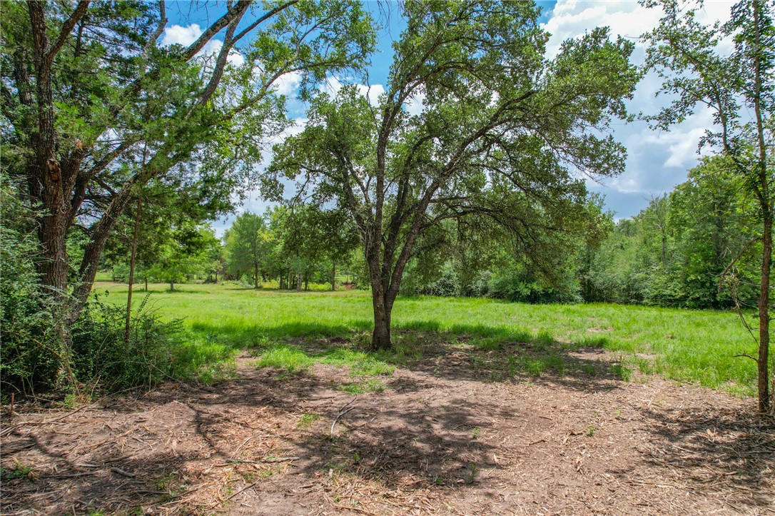 Tract #1-11.2ac) Tract Road College Station, TX 77845 - Photo 9 of 19 a view of a yard with a tree