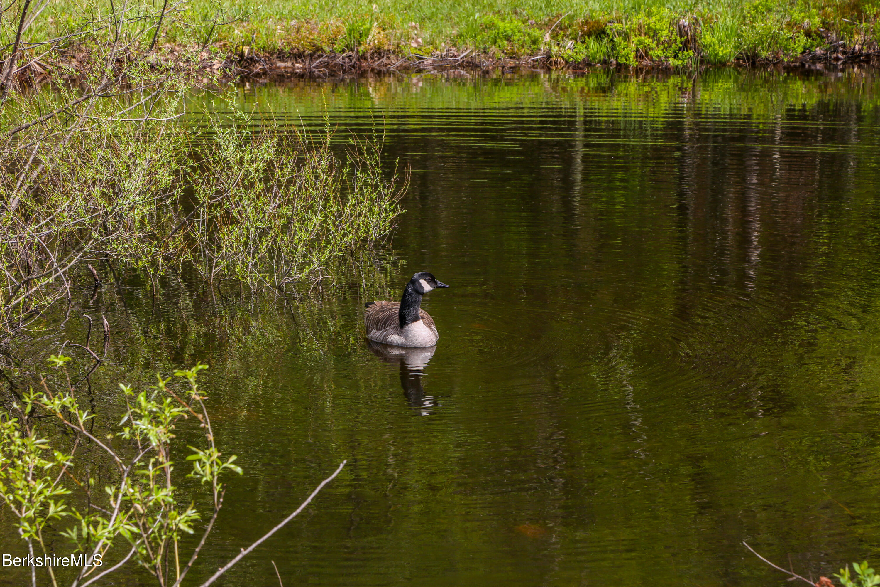 327 River Road Florida, MA 01247 - Photo 12 of 33 a bathroom with a shower