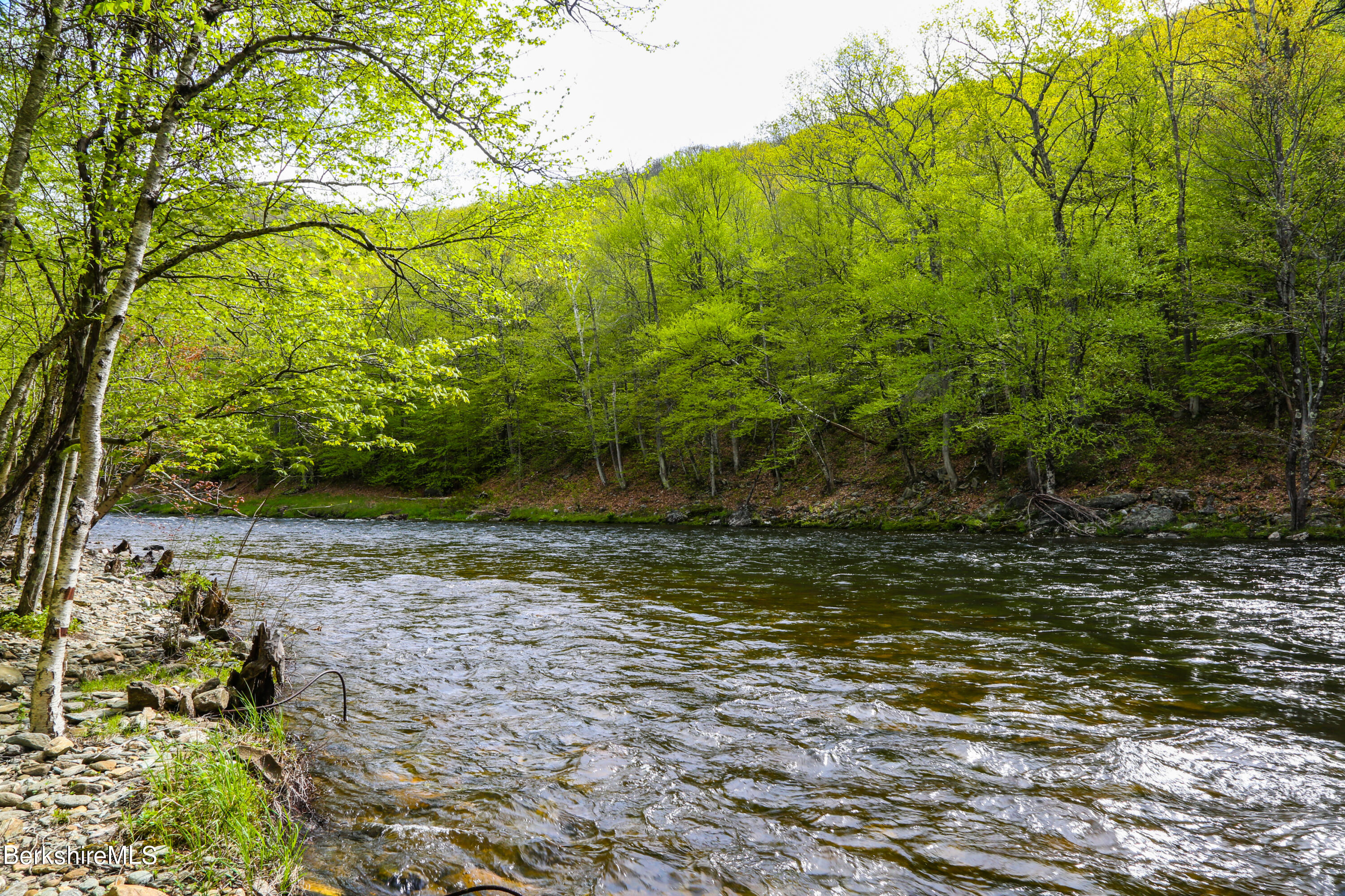 327 River Road Florida, MA 01247 - Photo 13 of 33 a view of a yard with plants and large trees