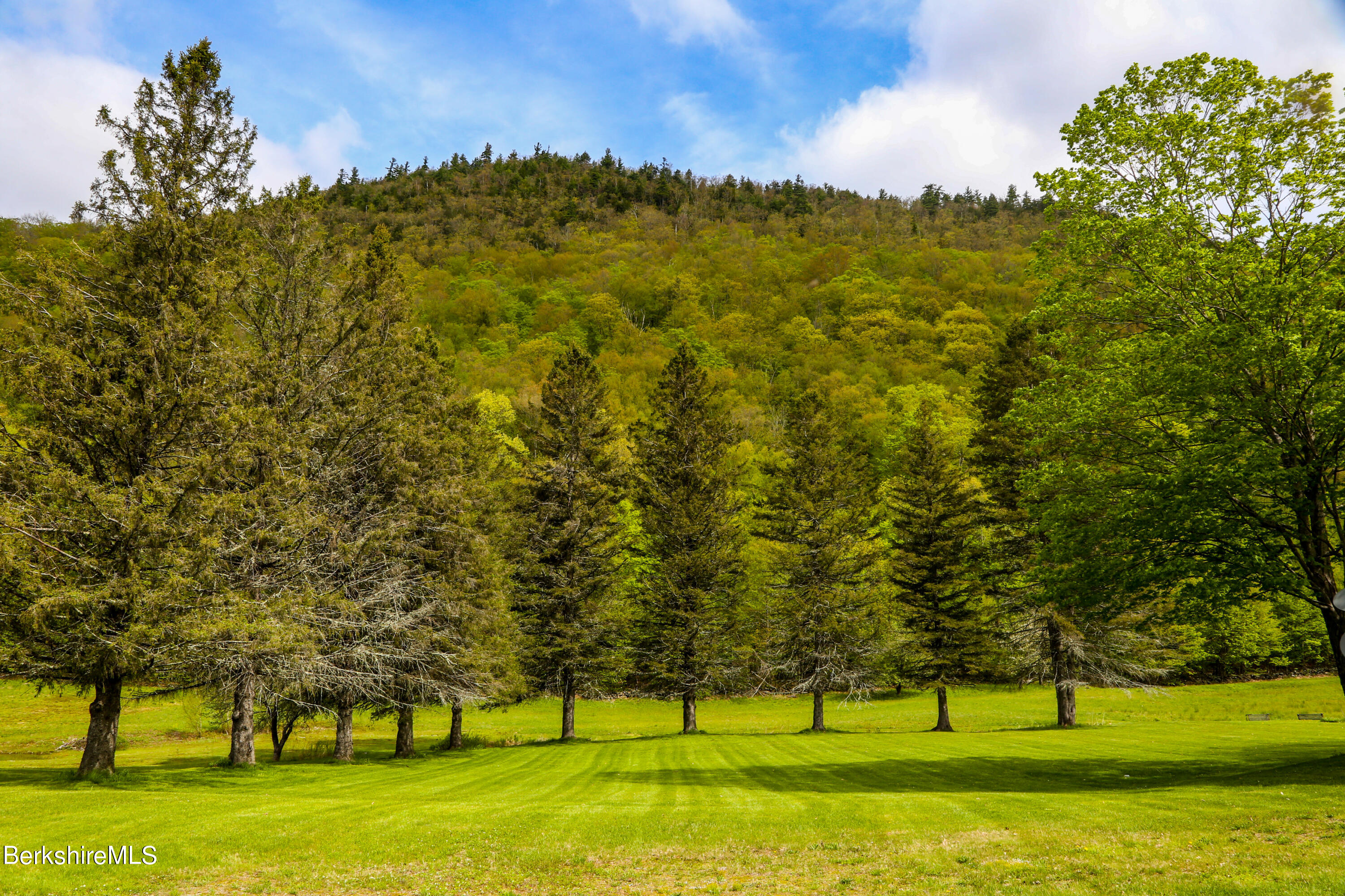 327 River Road Florida, MA 01247 - Photo 15 of 33 a view of a golf course with a trees