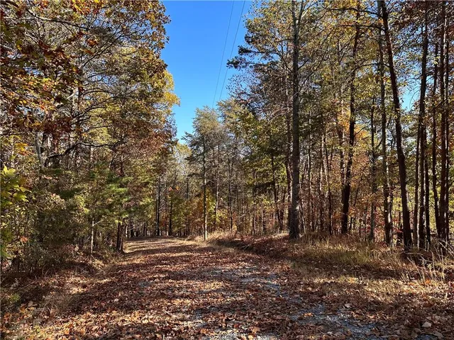 $17,999 | 1334 Birch Lane, Ranger, GA 30734