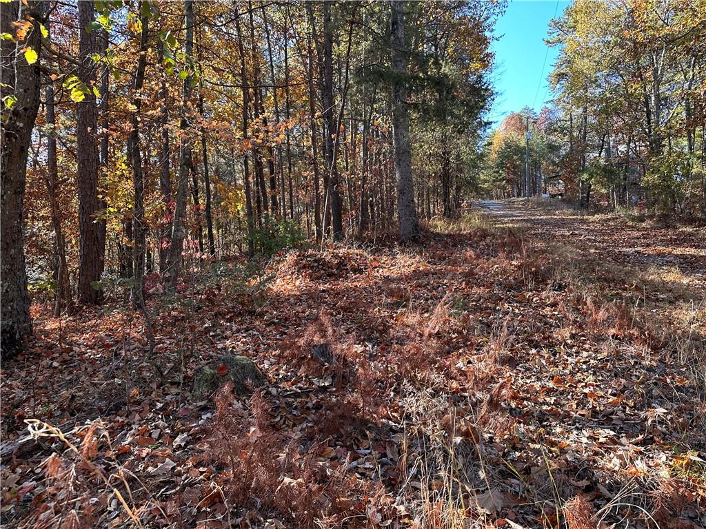 1334 Birch Lane Ranger, GA 30734 - Photo 2 of 86