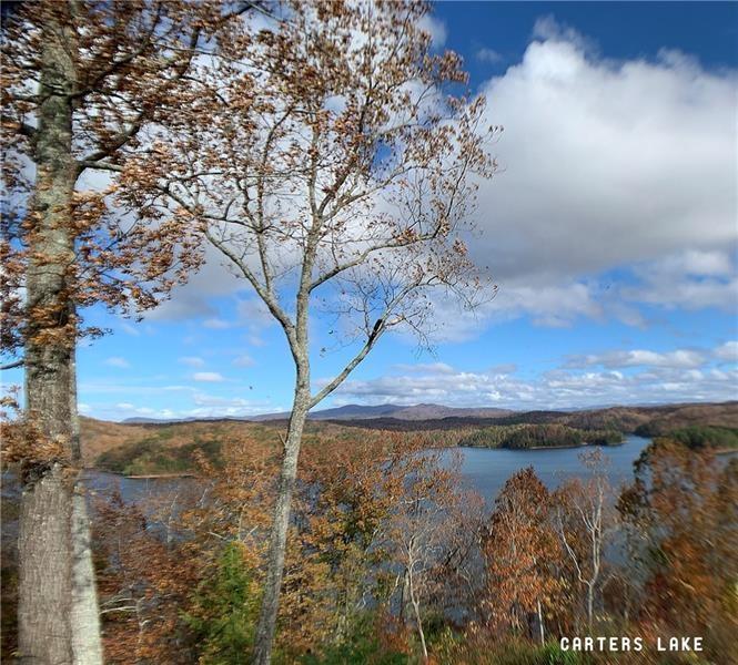 1334 Birch Lane Ranger, GA 30734 - Photo 25 of 86