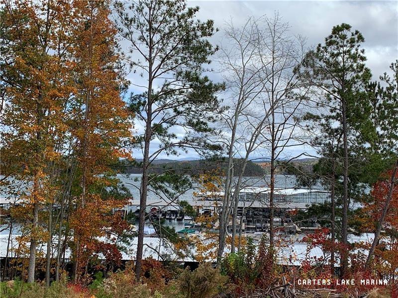 1334 Birch Lane Ranger, GA 30734 - Photo 26 of 86