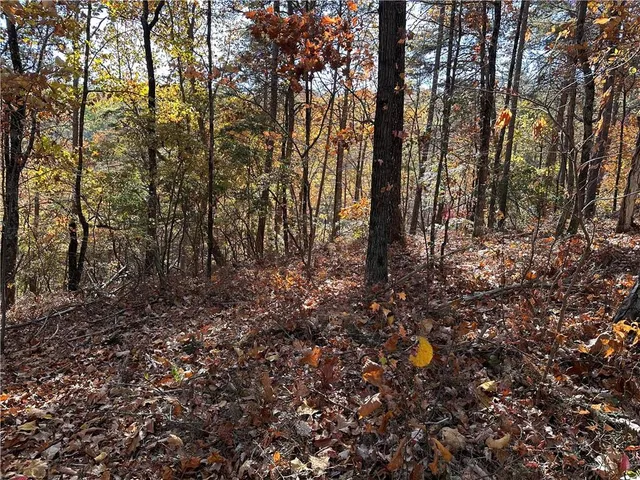 $17,999 | 1334 Birch Lane, Ranger, GA 30734