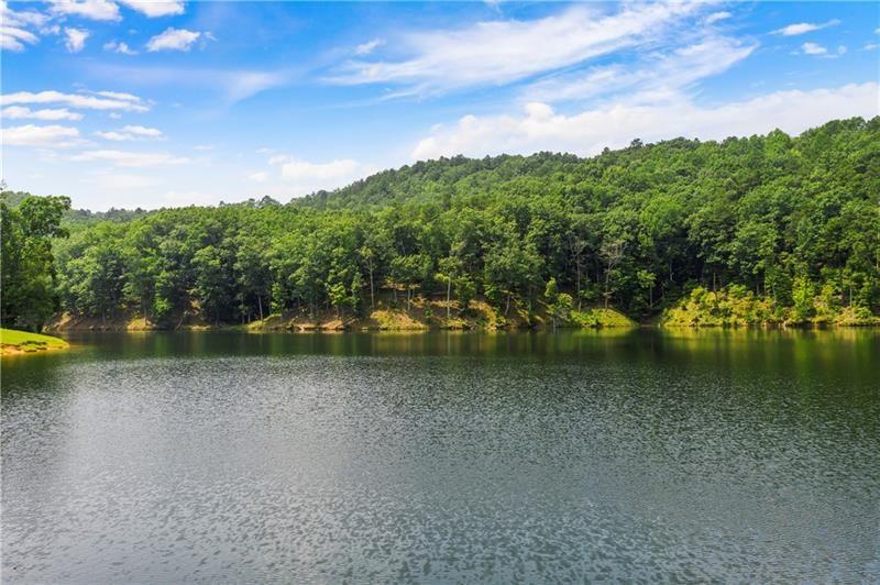 1334 Birch Lane Ranger, GA 30734 - Photo 31 of 86