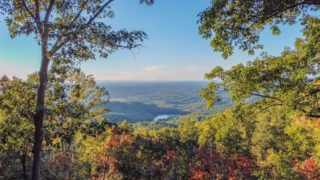 $17,999 | 1334 Birch Lane, Ranger, GA 30734