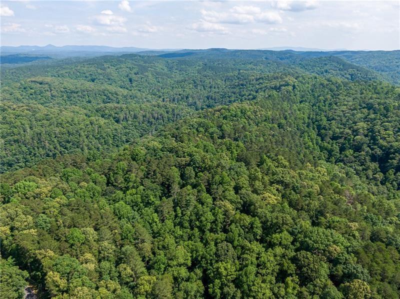 1334 Birch Lane Ranger, GA 30734 - Photo 36 of 86