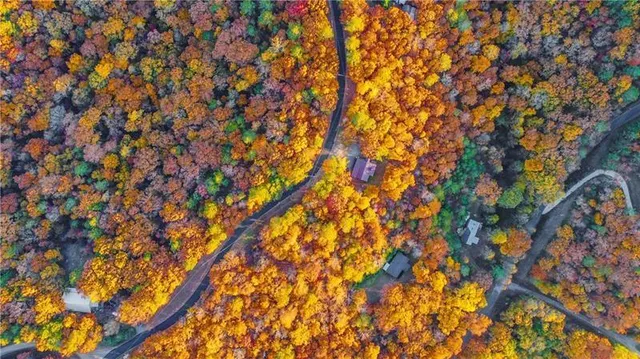 $17,999 | 1334 Birch Lane, Ranger, GA 30734