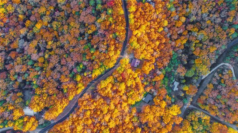 1334 Birch Lane Ranger, GA 30734 - Photo 38 of 86