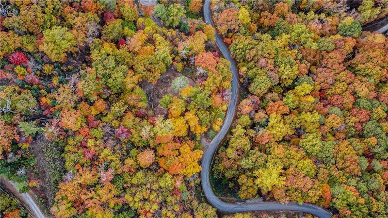 1334 Birch Lane Ranger, GA 30734 - Photo 39 of 86