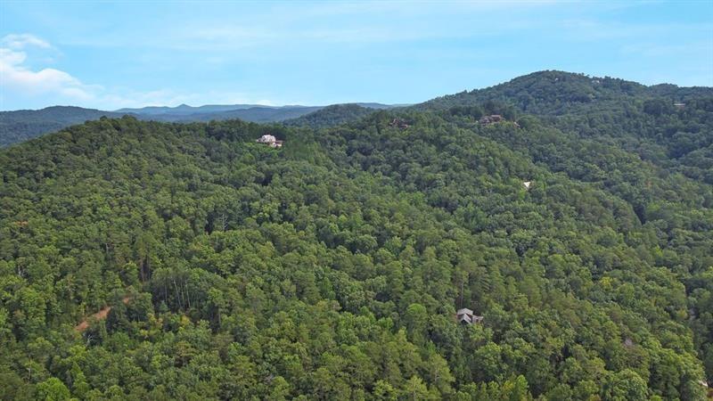 1334 Birch Lane Ranger, GA 30734 - Photo 40 of 86