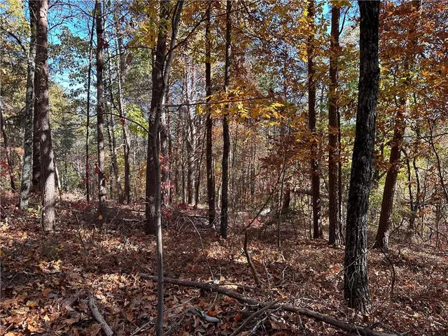 $17,999 | 1334 Birch Lane, Ranger, GA 30734