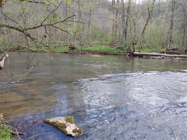 1334 Birch Lane Ranger, GA 30734 - Photo 43 of 86