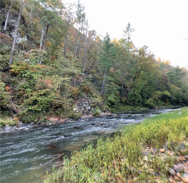 1334 Birch Lane Ranger, GA 30734 - Photo 46 of 86