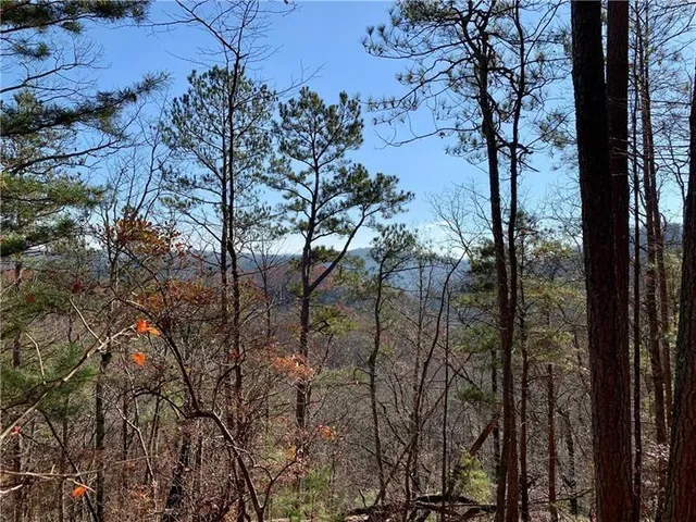 $17,999 | 1334 Birch Lane, Ranger, GA 30734