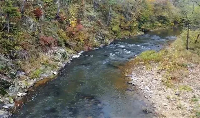 $17,999 | 1334 Birch Lane, Ranger, GA 30734