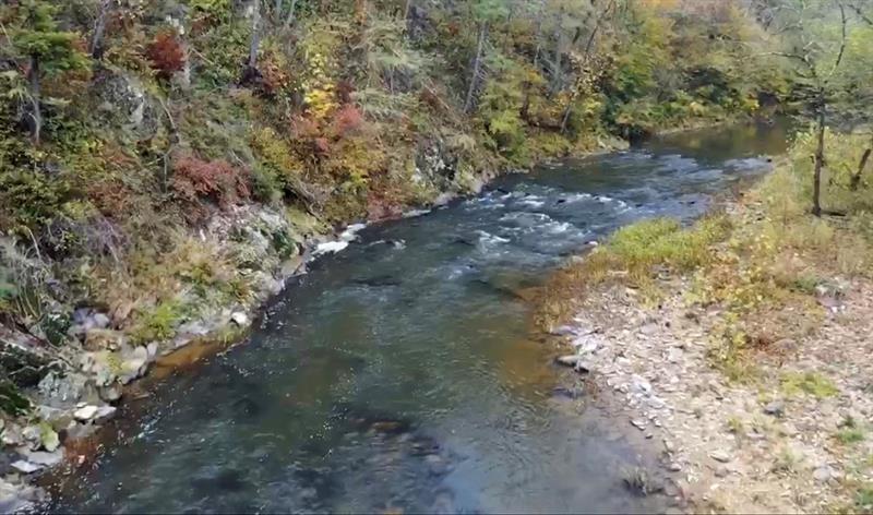 1334 Birch Lane Ranger, GA 30734 - Photo 48 of 86