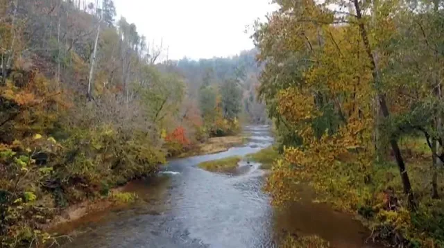 $17,999 | 1334 Birch Lane, Ranger, GA 30734