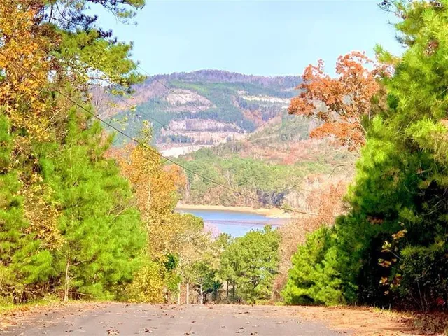 $17,999 | 1334 Birch Lane, Ranger, GA 30734