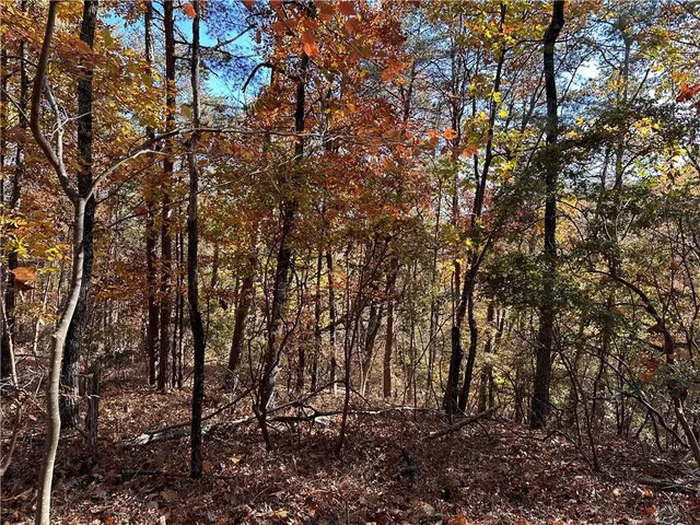 $17,999 | 1334 Birch Lane, Ranger, GA 30734