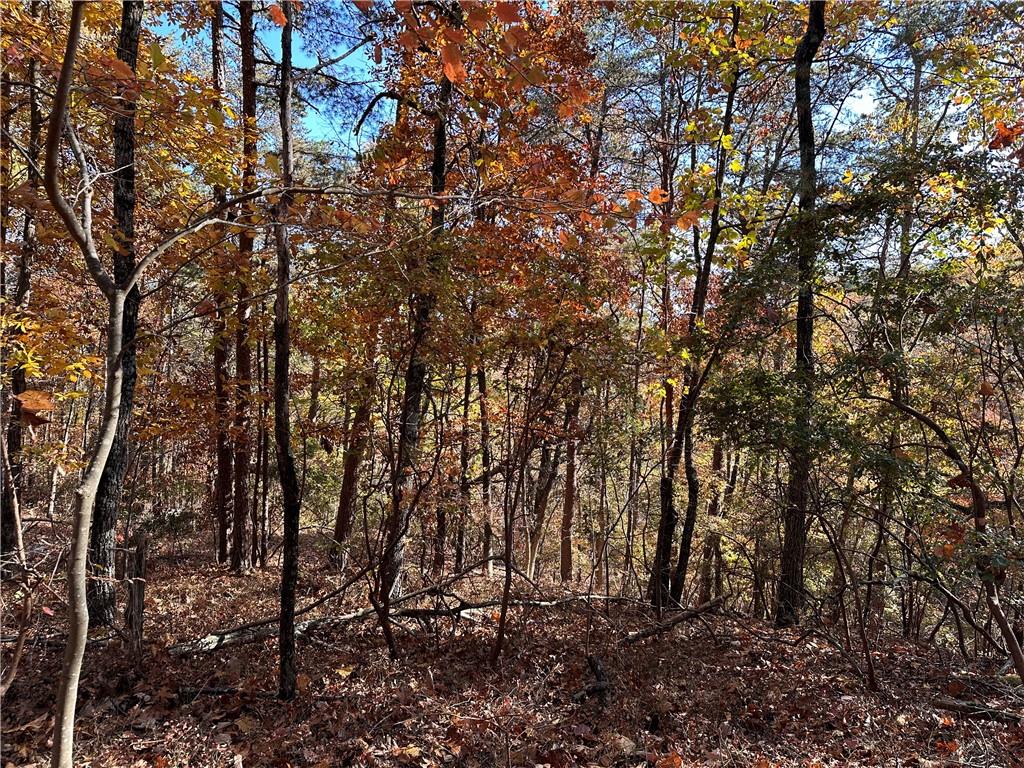 1334 Birch Lane Ranger, GA 30734 - Photo 5 of 86