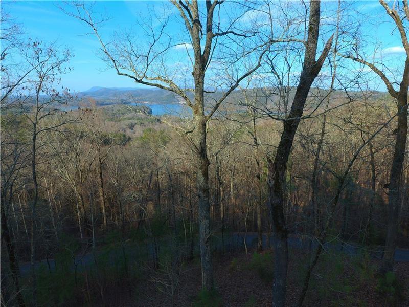 1334 Birch Lane Ranger, GA 30734 - Photo 52 of 86