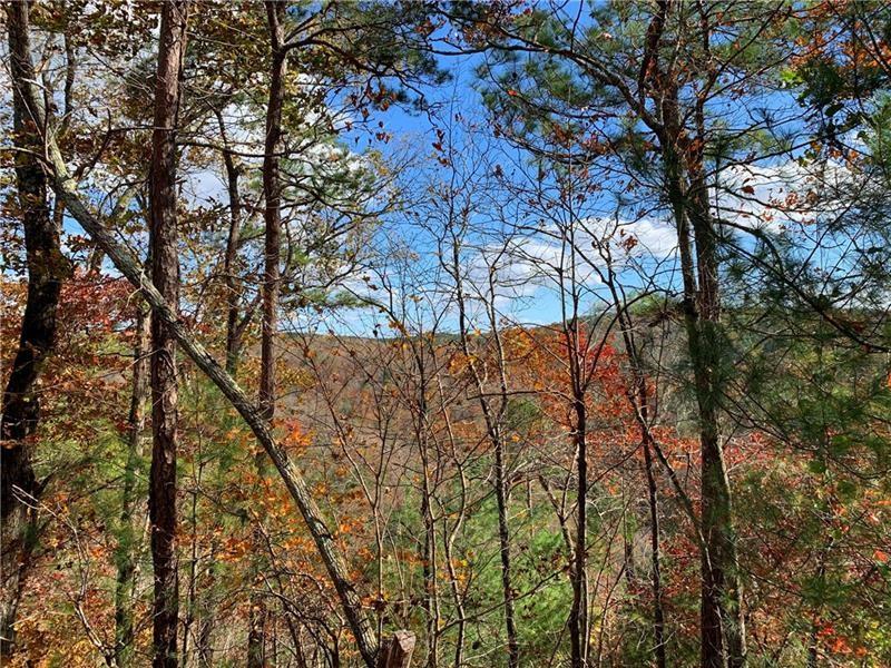 1334 Birch Lane Ranger, GA 30734 - Photo 55 of 86