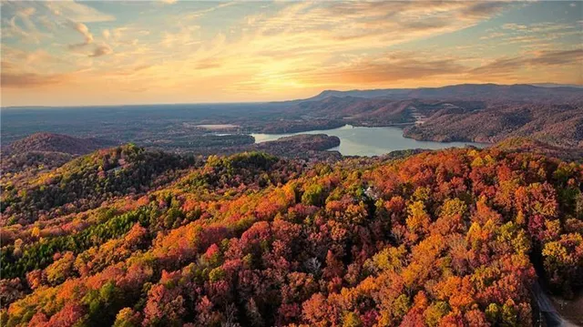 $17,999 | 1334 Birch Lane, Ranger, GA 30734