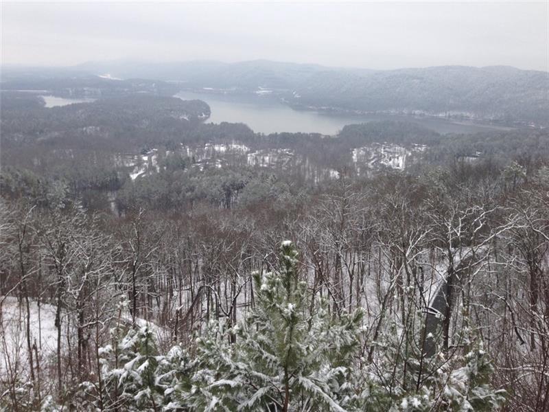 1334 Birch Lane Ranger, GA 30734 - Photo 58 of 86