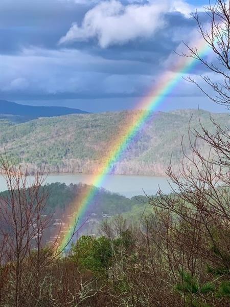 1334 Birch Lane Ranger, GA 30734 - Photo 59 of 86