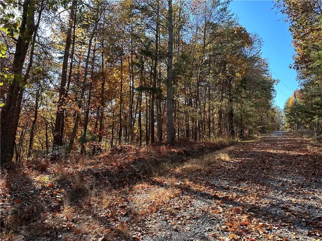 $17,999 | 1334 Birch Lane, Ranger, GA 30734