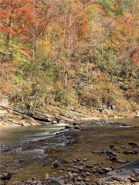 1334 Birch Lane Ranger, GA 30734 - Photo 66 of 86