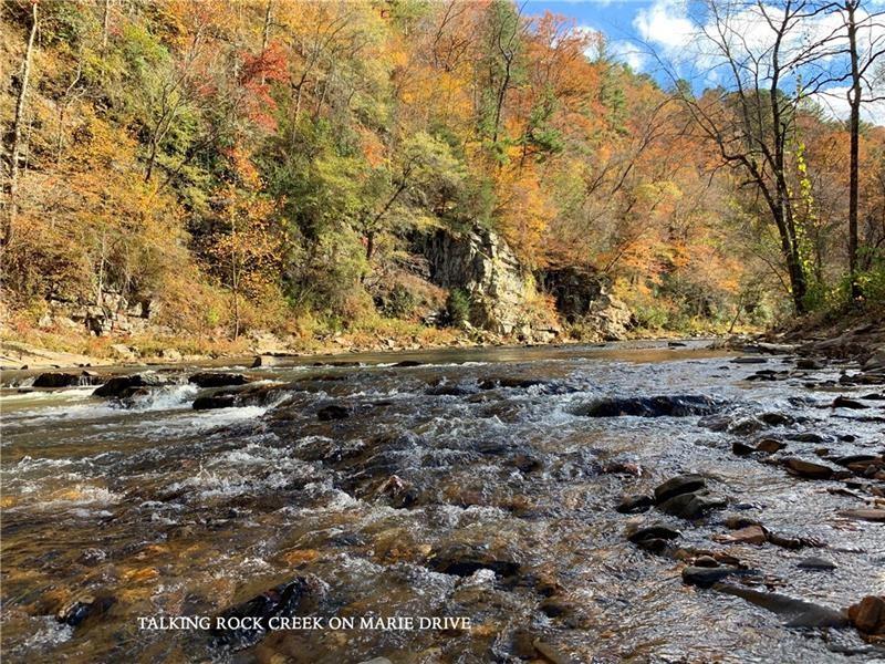 1334 Birch Lane Ranger, GA 30734 - Photo 68 of 86