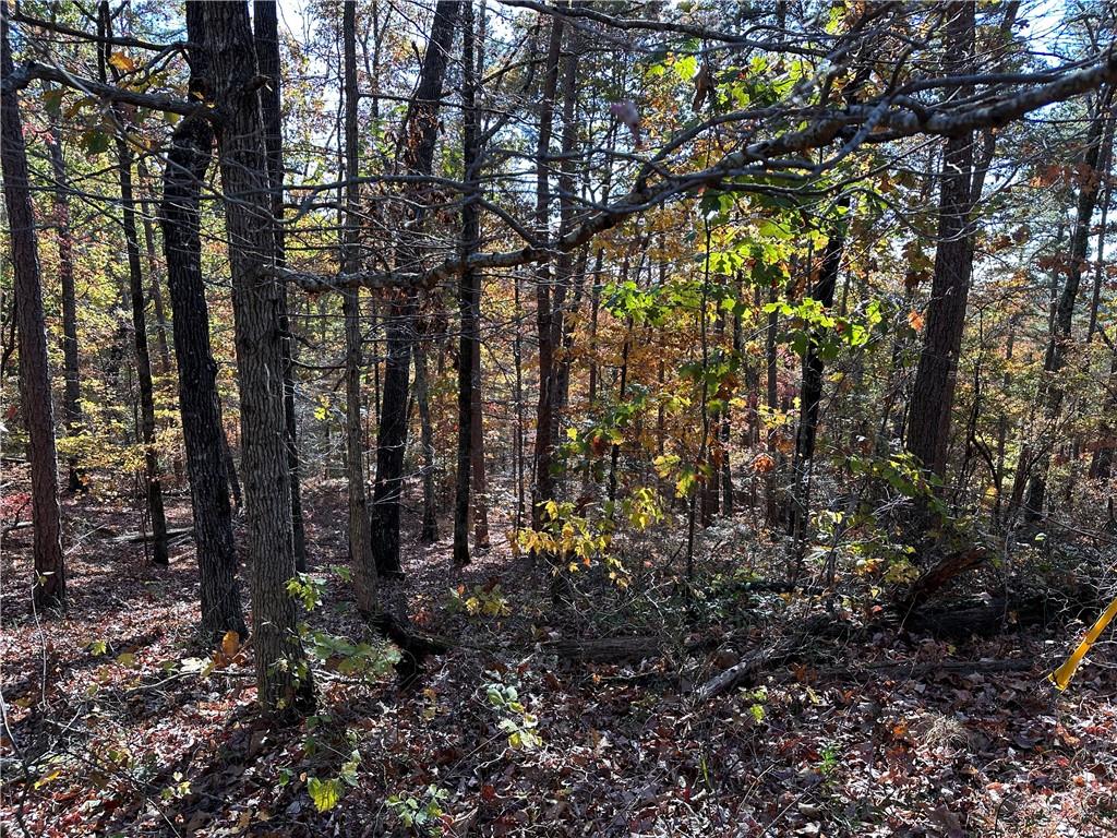 1334 Birch Lane Ranger, GA 30734 - Photo 7 of 86