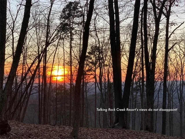 $17,999 | 1334 Birch Lane, Ranger, GA 30734