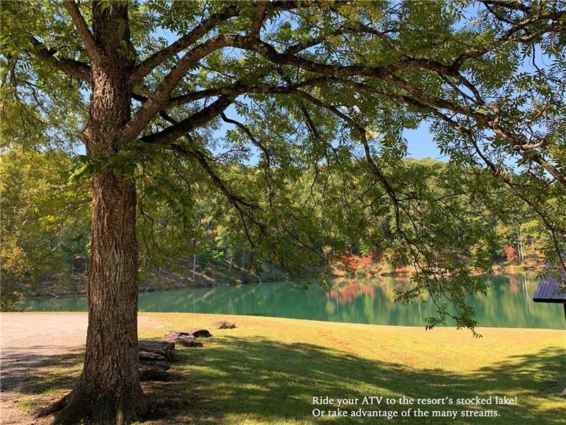 1334 Birch Lane Ranger, GA 30734 - Photo 80 of 86