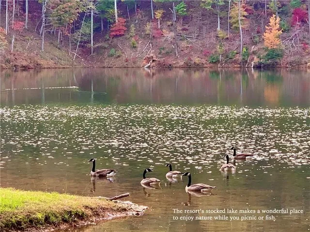 $17,999 | 1334 Birch Lane, Ranger, GA 30734