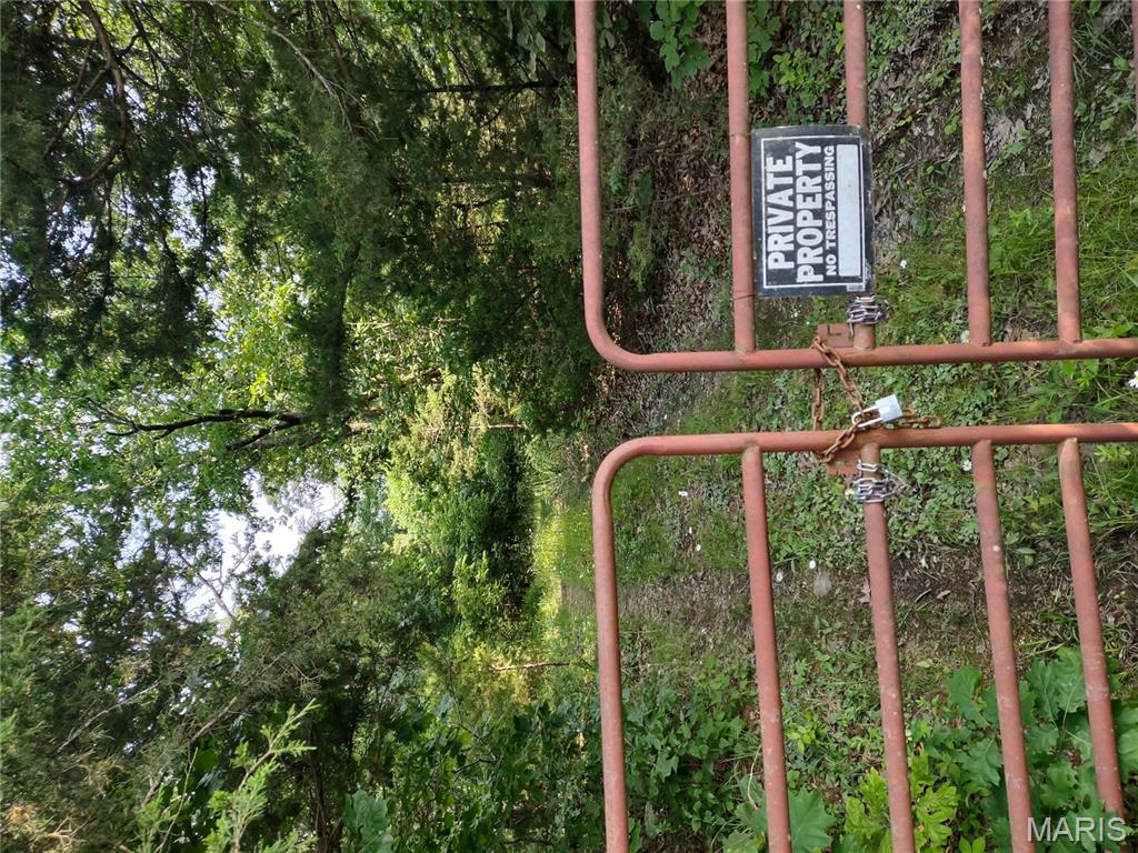 0 Berry Road Falcon, MO 65470 - Photo 2 of 12