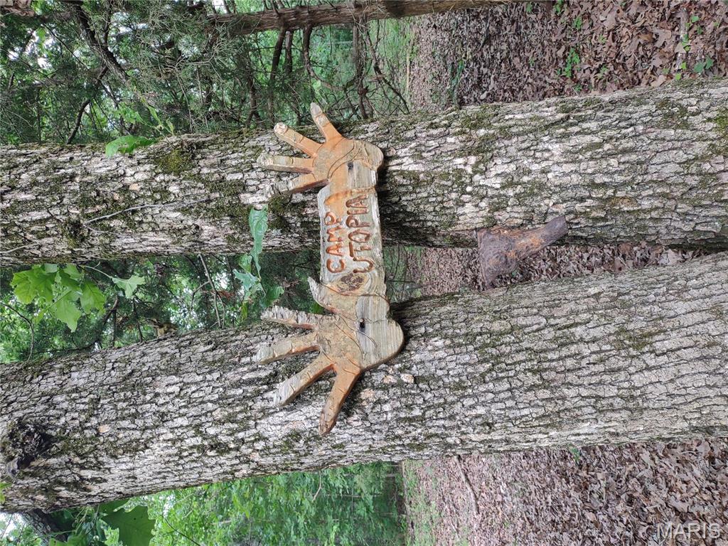 0 Berry Road Falcon, MO 65470 - Photo 3 of 12