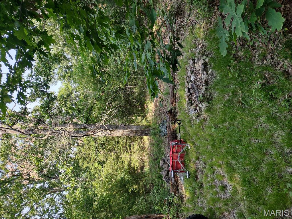 0 Berry Road Falcon, MO 65470 - Photo 4 of 12