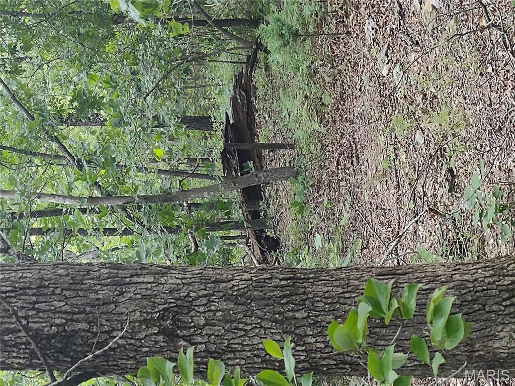 0 Berry Road Falcon, MO 65470 - Photo 5 of 12