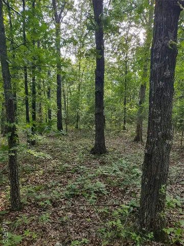 $135,000 | 0 Berry Road, Falcon, MO 65470