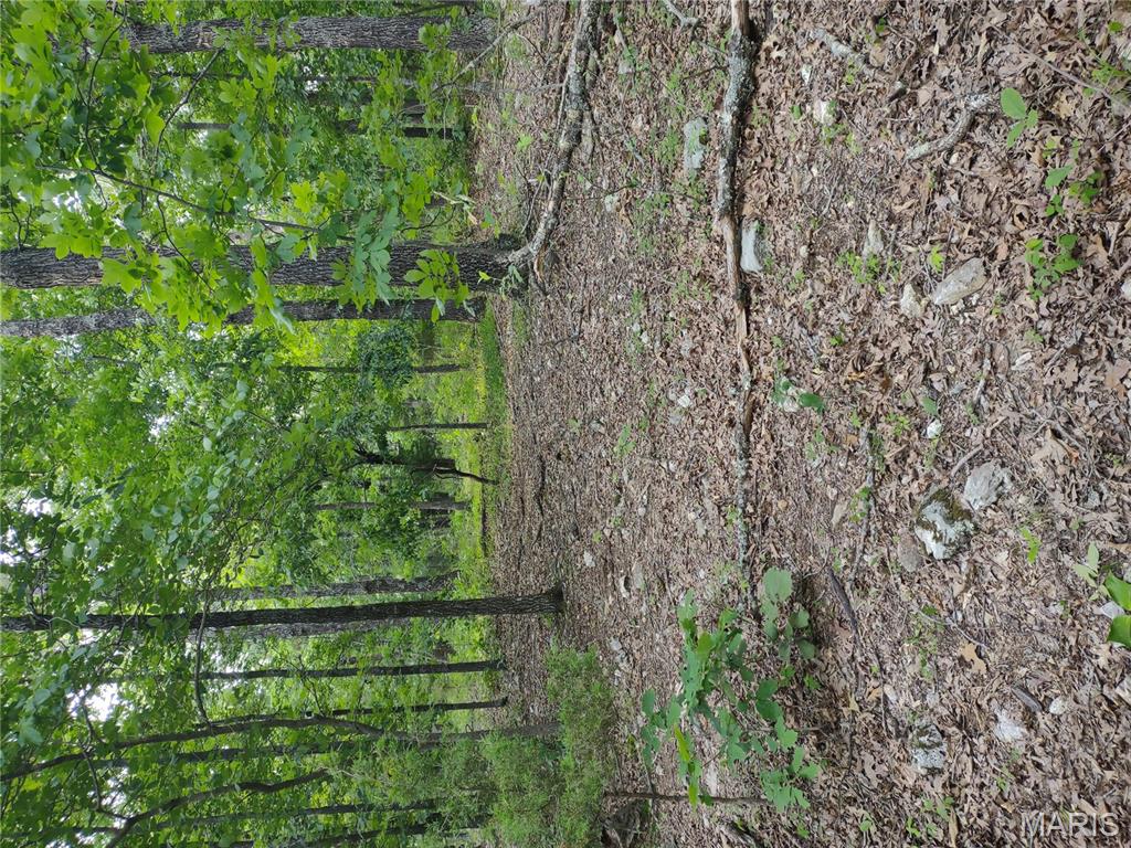 0 Berry Road Falcon, MO 65470 - Photo 7 of 12