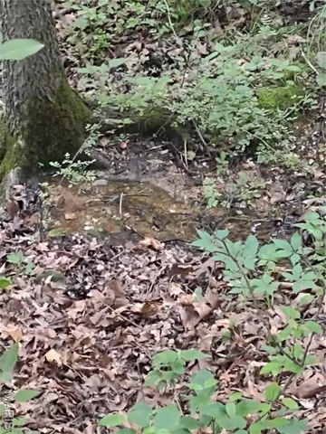 $135,000 | 0 Berry Road, Falcon, MO 65470