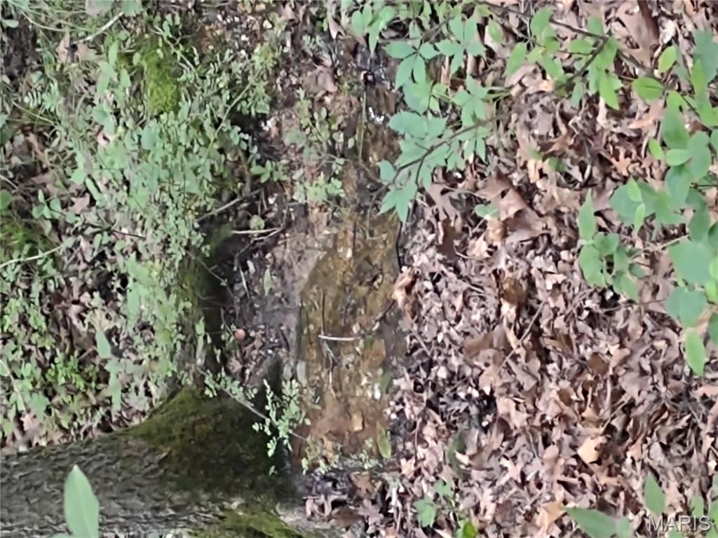 0 Berry Road Falcon, MO 65470 - Photo 8 of 12