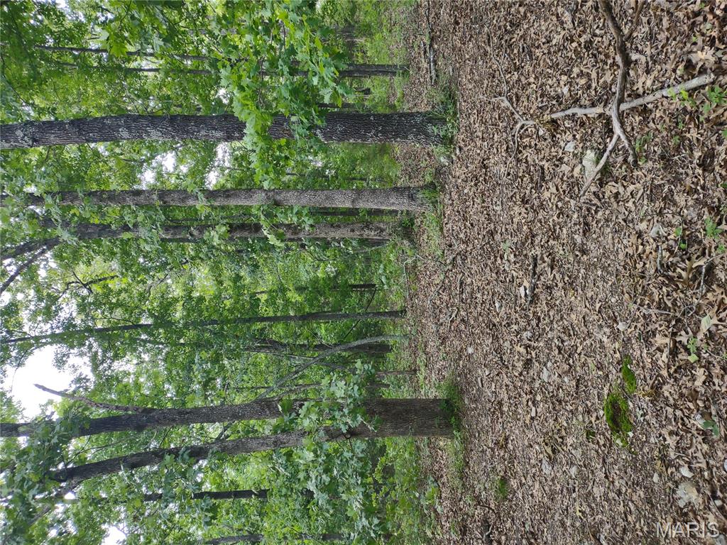 0 Berry Road Falcon, MO 65470 - Photo 9 of 12