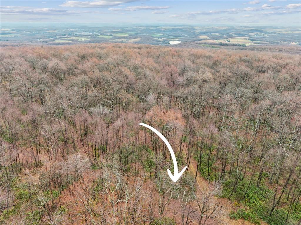 Lot 586 Zermatt Road Jenners, PA 15546 - Photo 8 of 10 a view of a dry yard and trees
